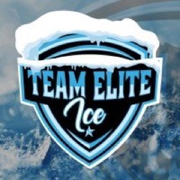 Logo fÅr das eSports Team Team Elite Ice